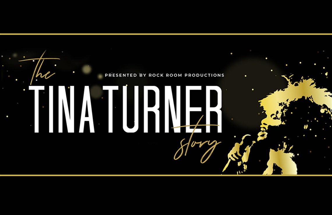 The Tina Turner Story
