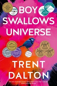 boy-swallows-universe.jpg