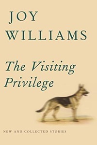 the-visiting-privilege.jpg
