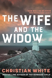 the-wife-and-the-widow.jpg