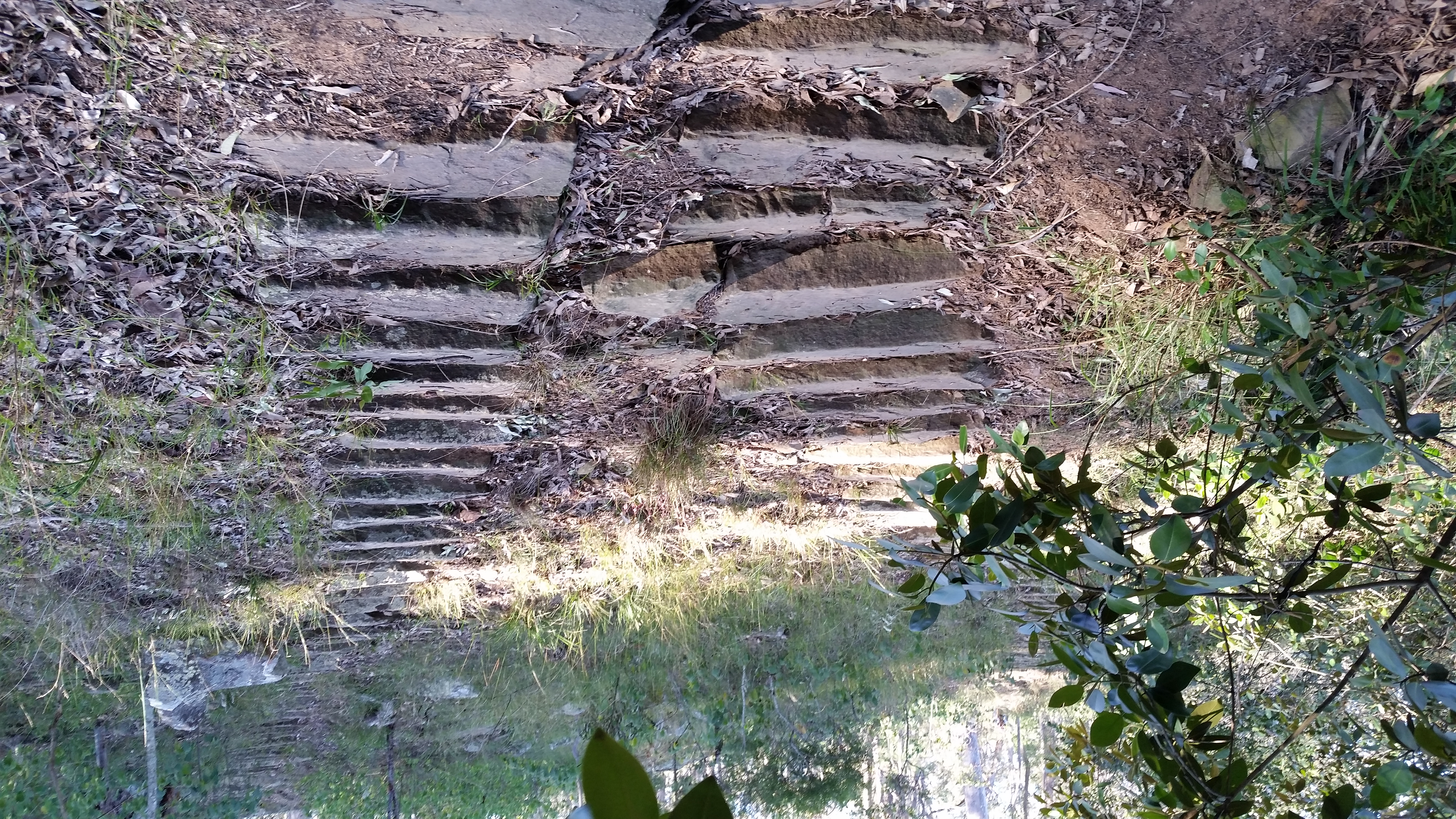 AUGUST-Hunter-River-Reserve-steps.jpg