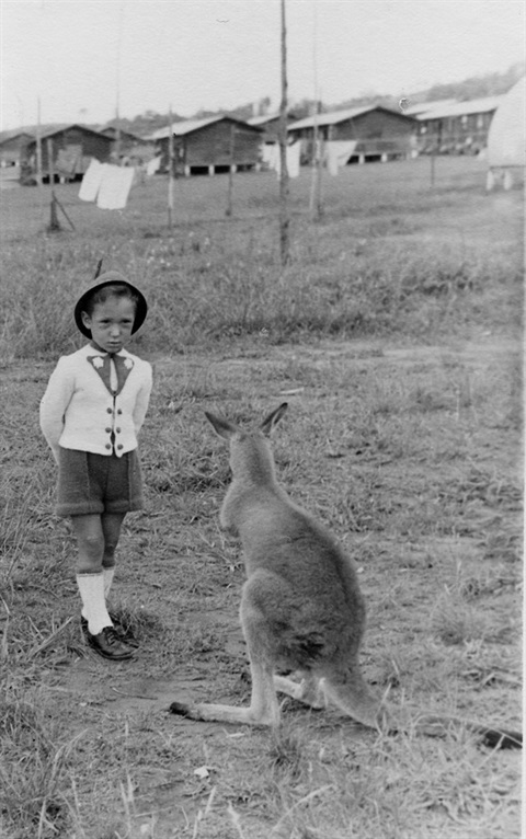 Kangaroo-boy.jpg