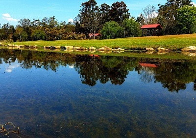 Chinamans Hollow Peace Park.jpg