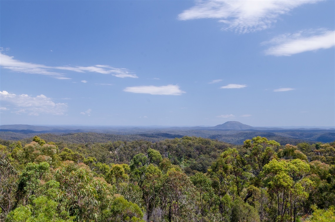 Image of a treetop landscape with mountains in the background