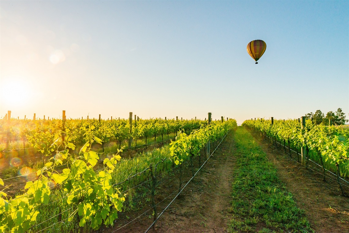 Balloon Aloft Hunter Valley.jpg