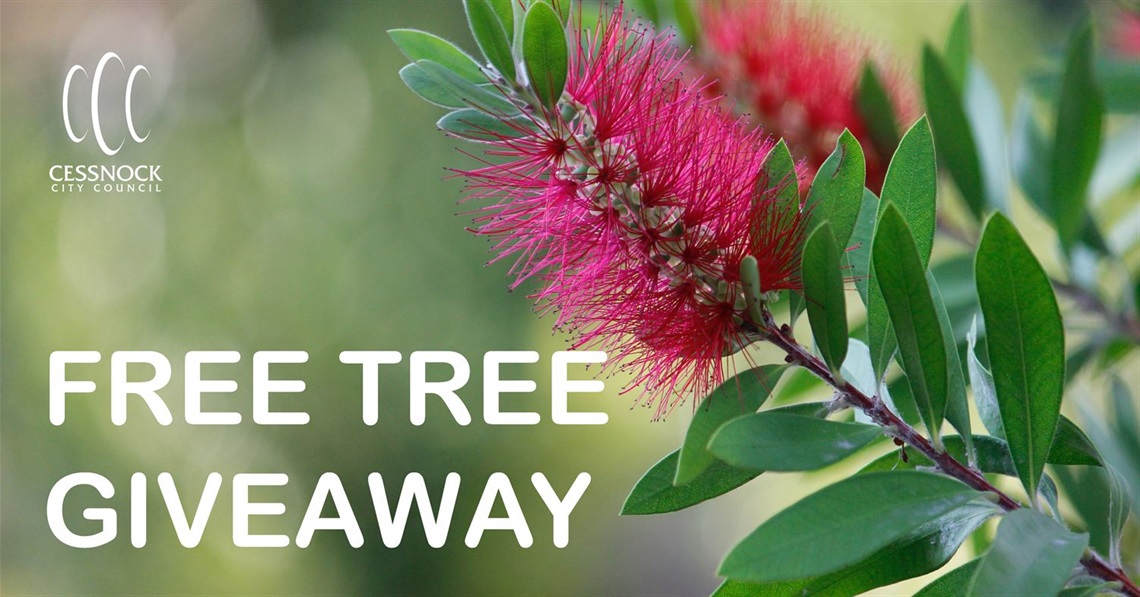 Free tree giveaway.jpg