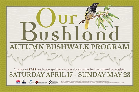 Our Bushland Autumn Bushwalk Program