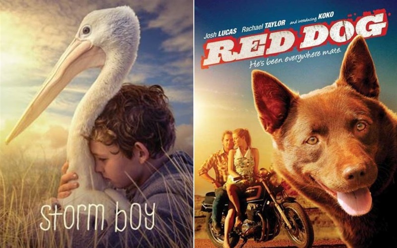 Movie artwork for the films Storm Boy and Red Dog