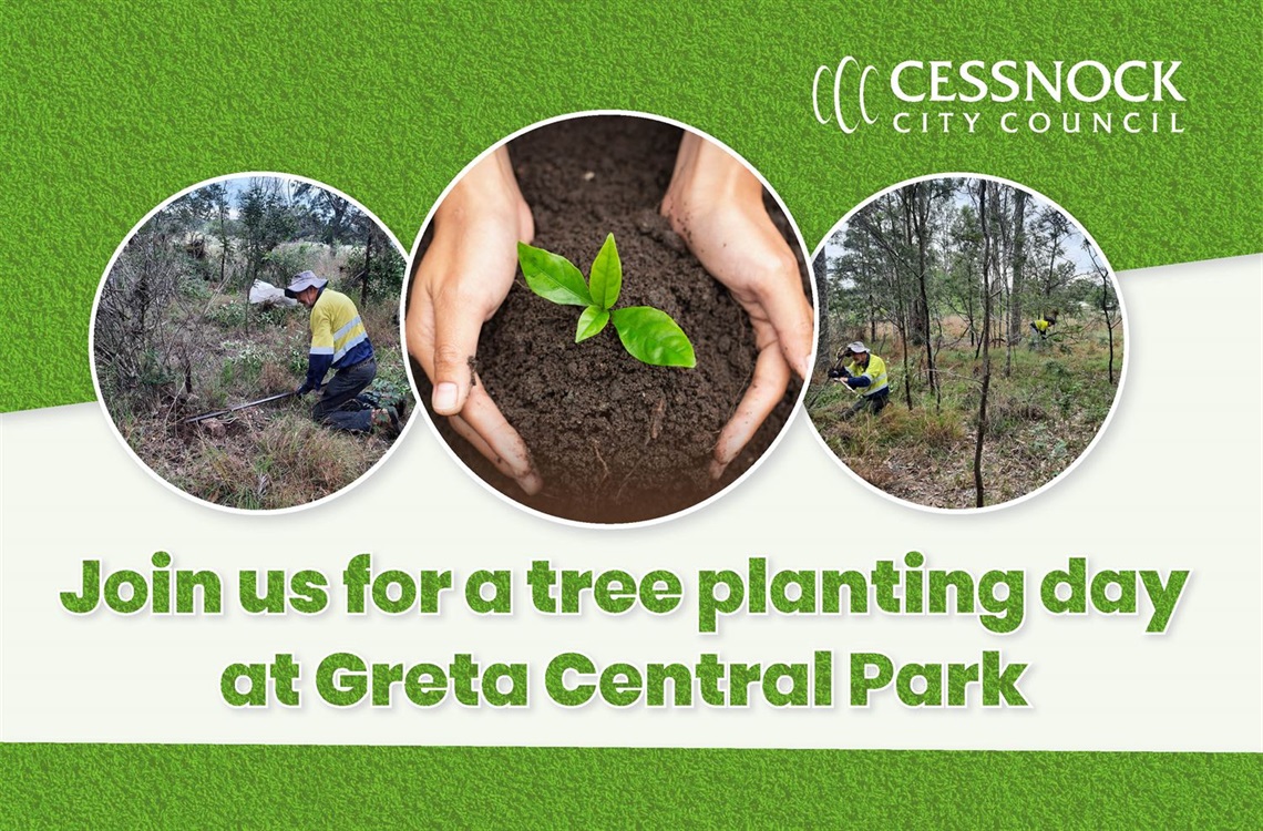 Greta tree planting web tile.jpg