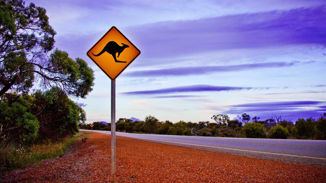 Photo from the side of a rural road with a yellow road sign in the foreground containing a black silhouette of a kangaroo
