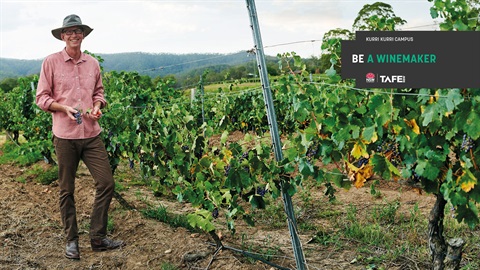 MS-Teams-background-Wine