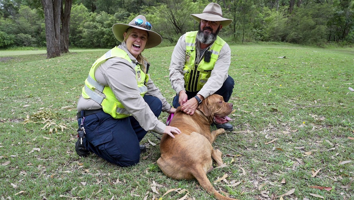 Rangers _ Dog _ Microchip _ Scanner.jpg
