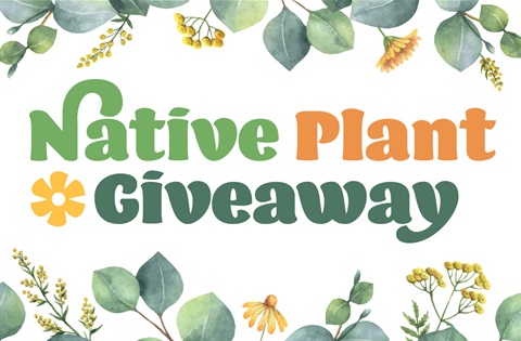 2023 _ Event Tile _ CCC _ Native Plant Giveway _ 24072023 _ jbuckley.jpg